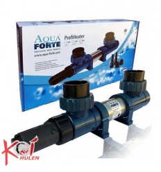 Aquaforte profiheater 2 kw