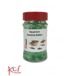 Aquarium Filter Bacterien