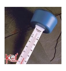 Termometer (svømme)