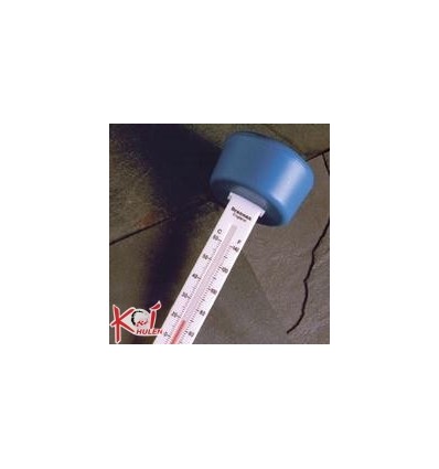 Termometer (svømme)