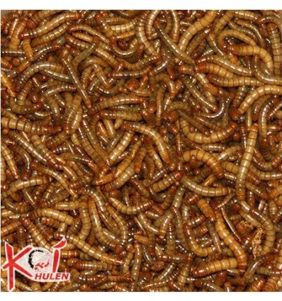 KYDI-LINE KOI CHOCOLATE NIBS 250g