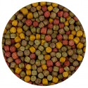 Allround mix - Koi Nobori